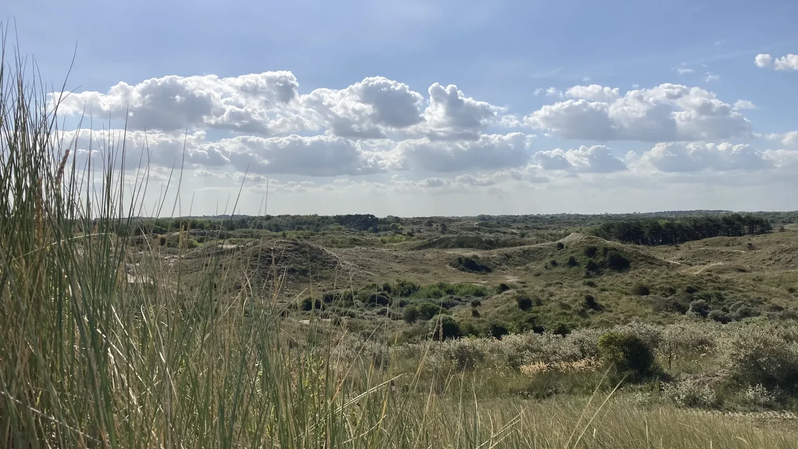 Uitgestrekt open duin met helmgras en wolkenlucht