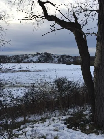 Meijendel — ton-lansink-meijendel-005.webp