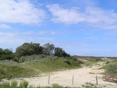 Meijendel — ton-lansink-meijendel-006.webp