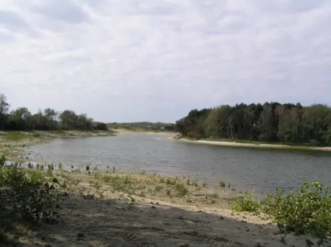Meijendel — ton-lansink-meijendel-008.webp