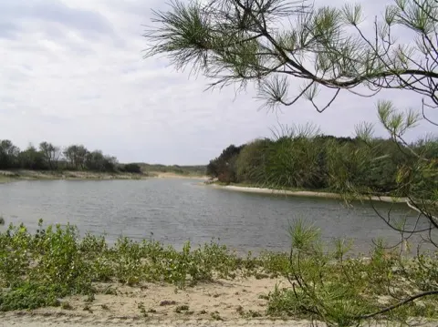 Meijendel — ton-lansink-meijendel-009.webp