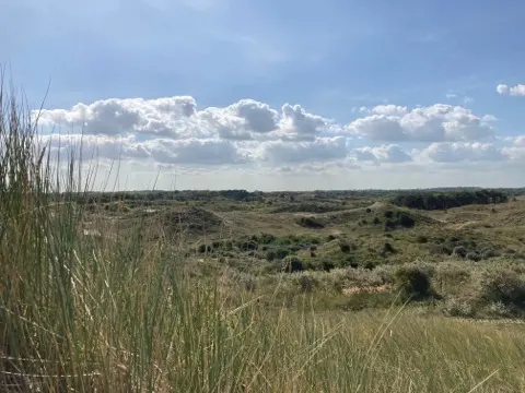 Meijendel — ton-lansink-meijendel-010.webp