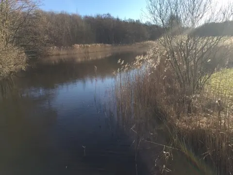 Meijendel — ton-lansink-meijendel-011.webp