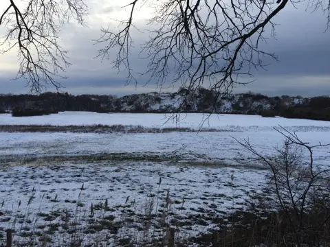 Meijendel — ton-lansink-meijendel-015.webp