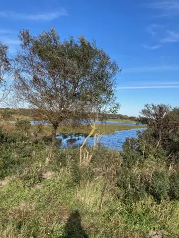 Meijendel — ton-lansink-meijendel-019.webp
