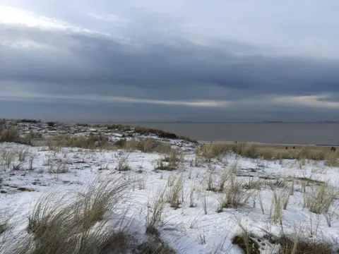 Meijendel — ton-lansink-meijendel-022.webp