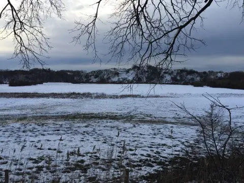 Meijendel — ton-lansink-meijendel-025.webp